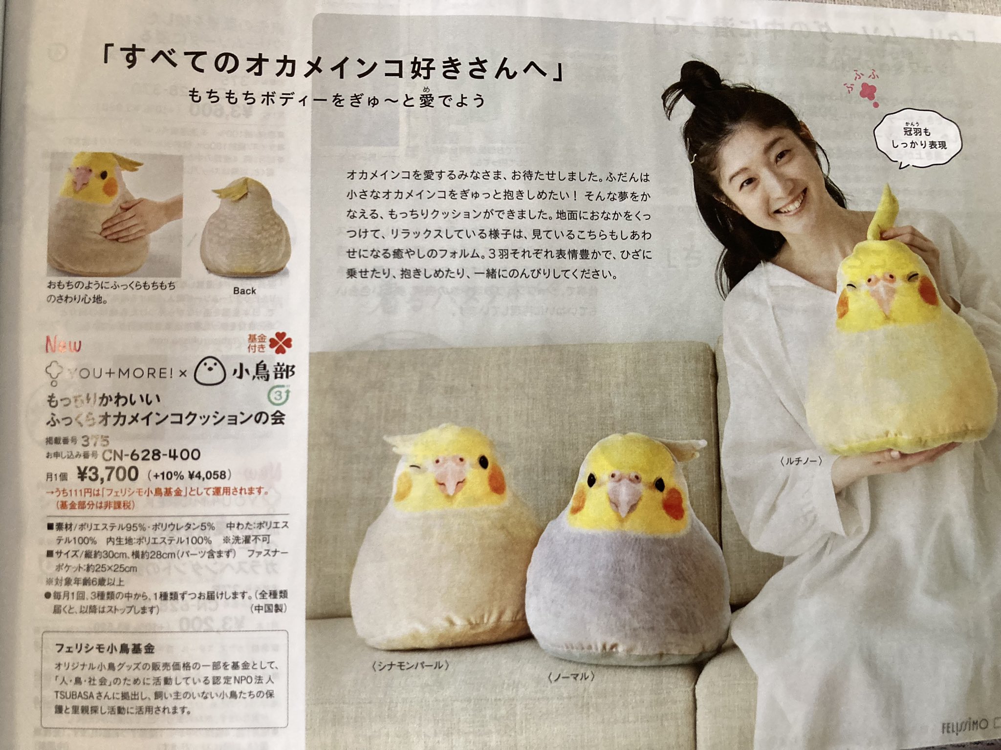 ☆なかよし☆ リモージュボックス インコ 鳥 夫婦 恋人