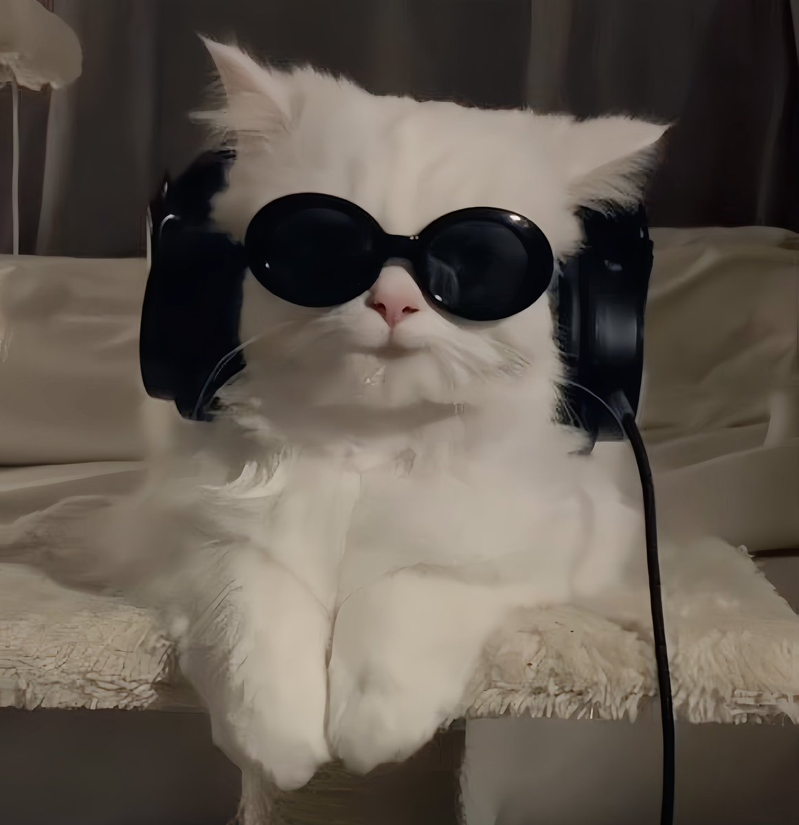 my_jayyuno's tweet image. ละเหมือนมาก 🥹 ความปากจมูก องศาของหัว แบบเดะอ่ะ 55555555555555 🐈‍⬛🎧

ctrl + c                                                  ctrl + v