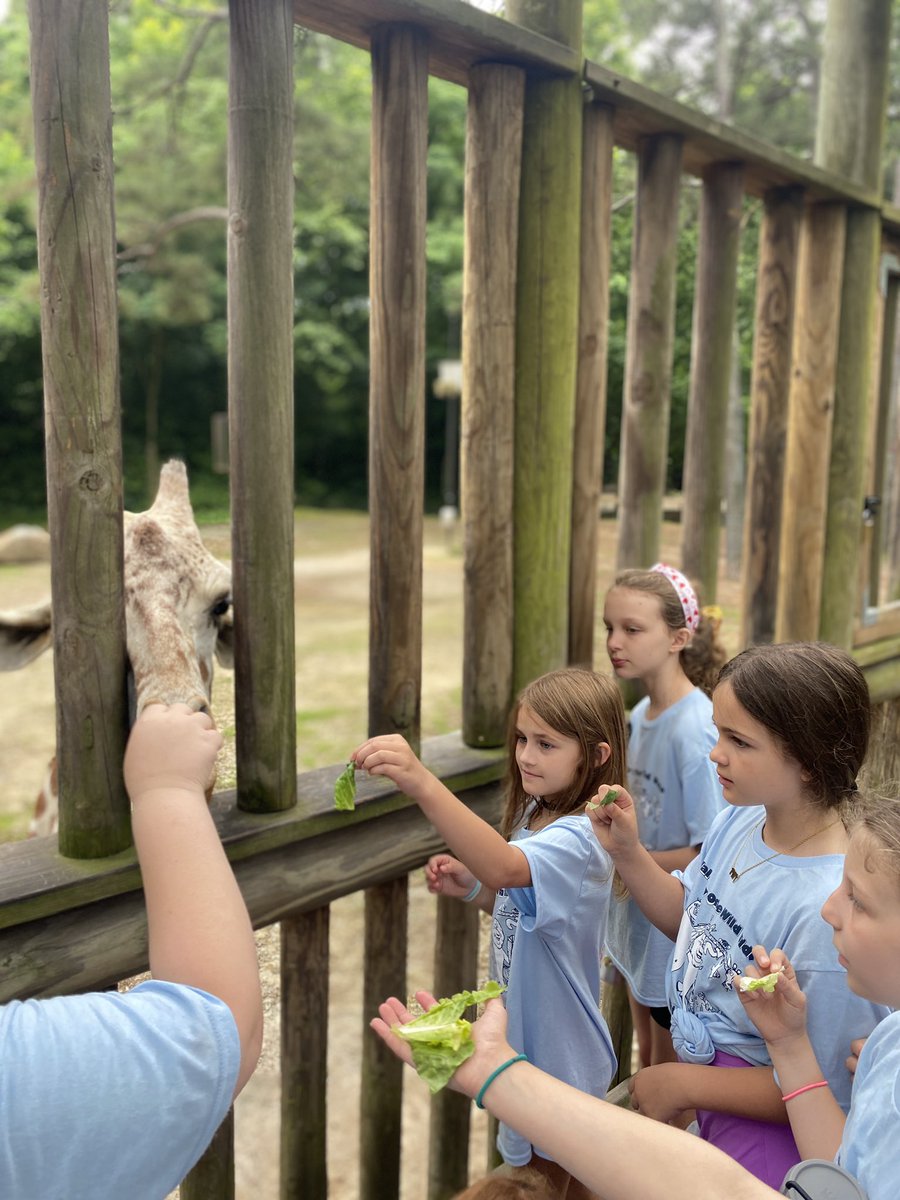 Gaston Day School tweet media