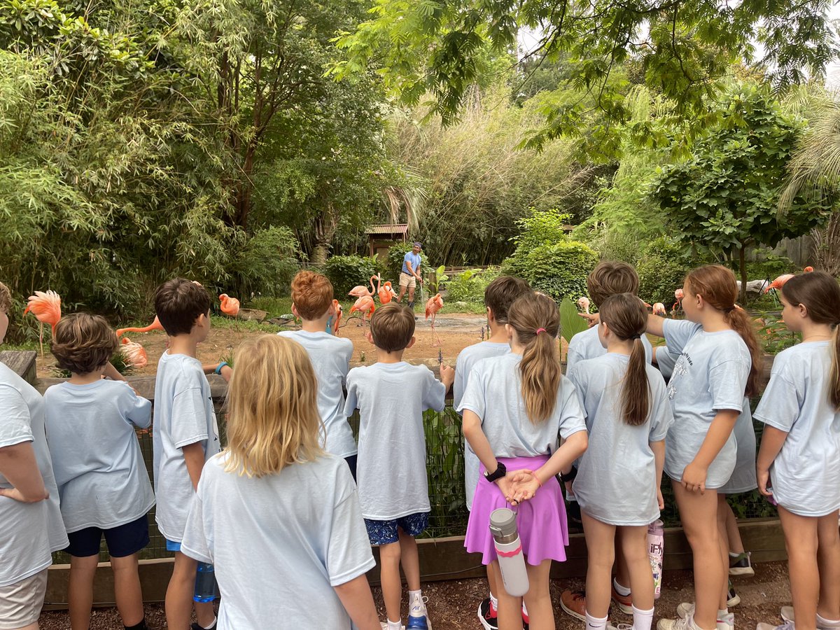 Gaston Day School tweet media