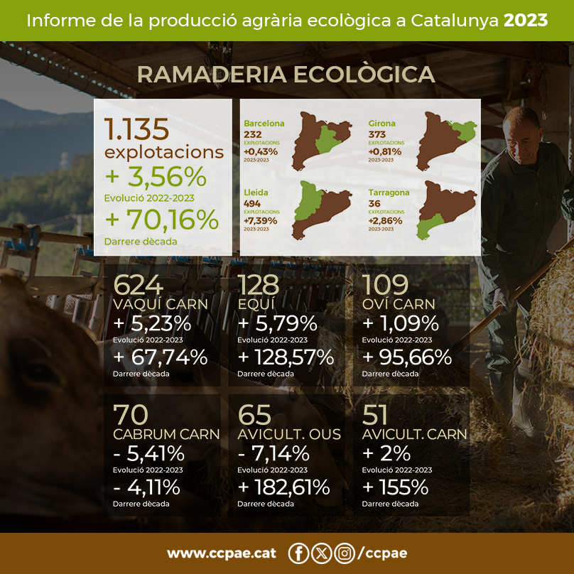 🐂 Ramaderia ecològica a Catalunya (2023): 1.135 explotacions ⬆️ +3,56% ℹ️ Comunicat i dades completes: bit.ly/dades-eco-cat-…