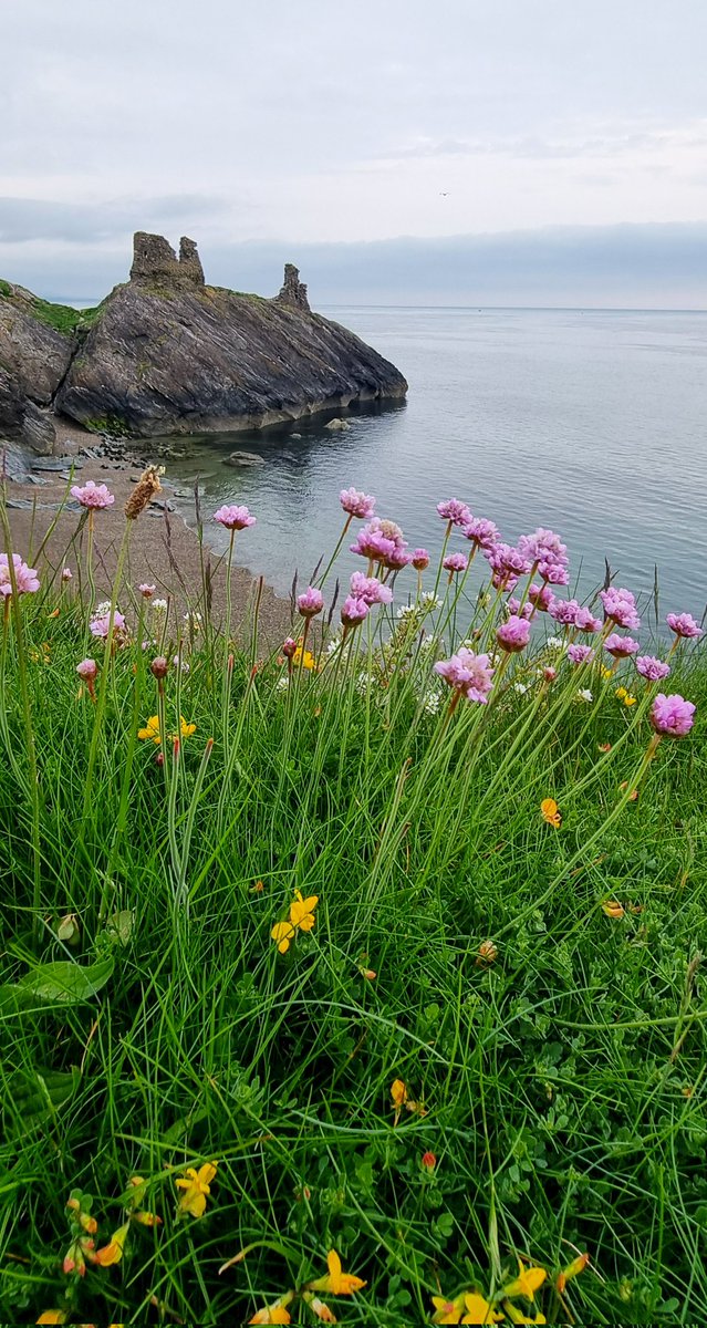 Sean Scanlon tweet media