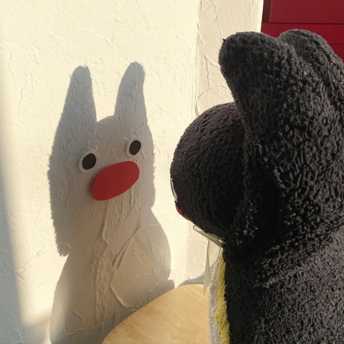 pingmyping's tweet photo. 🐧😁☀️ https://t.co/PJ944Uu3Rv