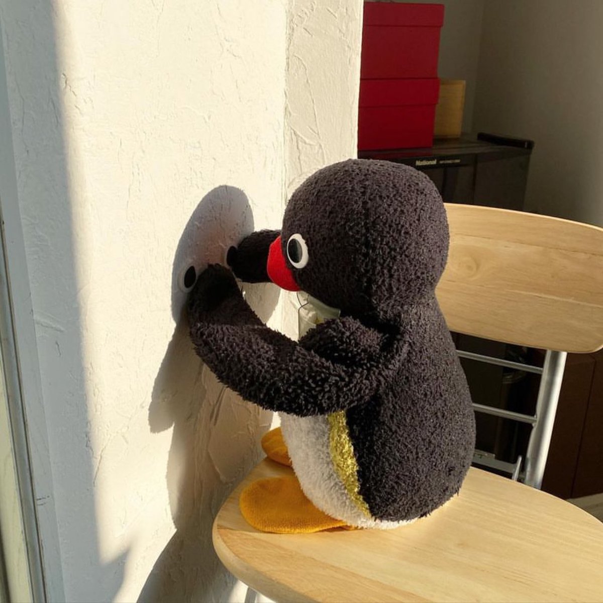 pingmyping's tweet photo. 🐧😁☀️ https://t.co/PJ944Uu3Rv