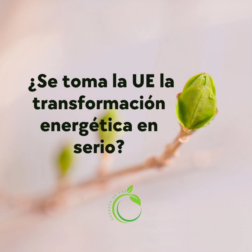 Fund Cultura de Paz tweet media