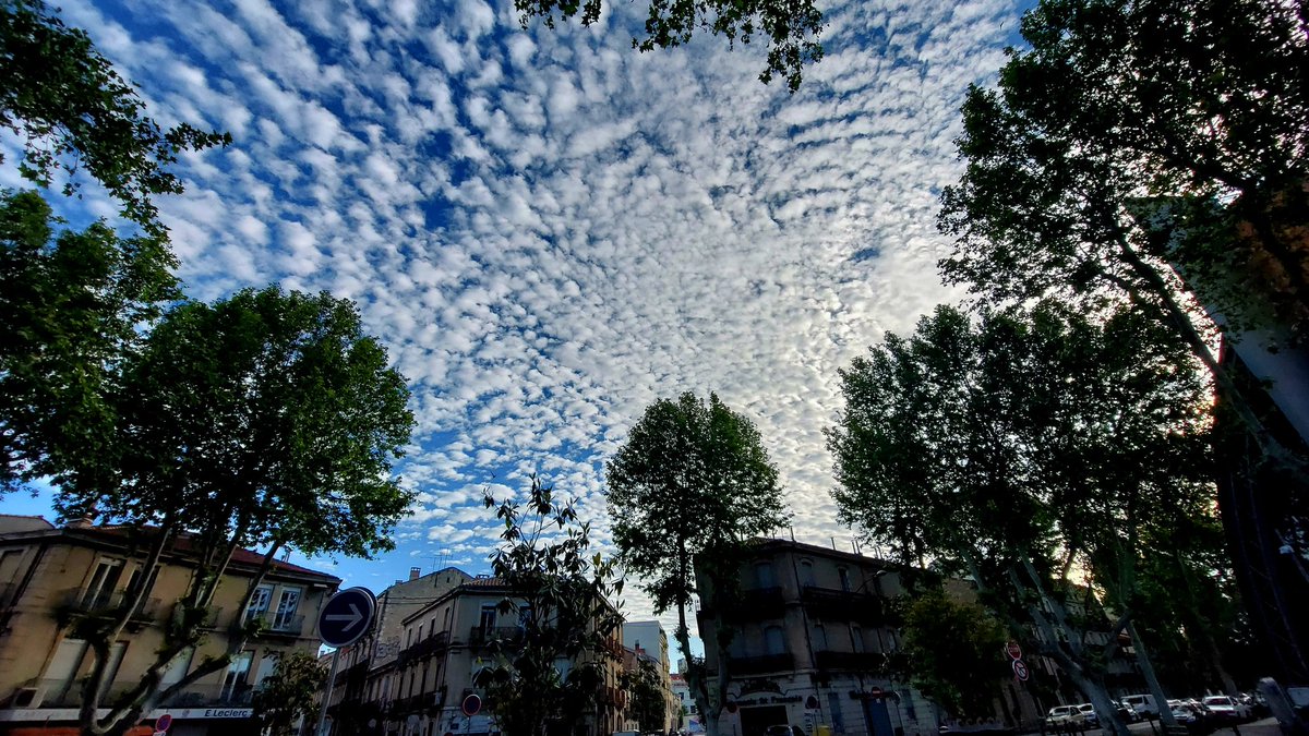 #Montpellier Place Carnot.