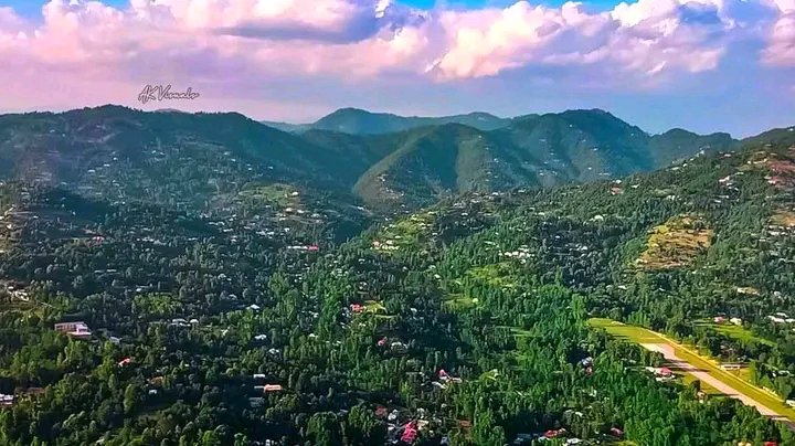 🍁Maya Ali🍁 tweet media