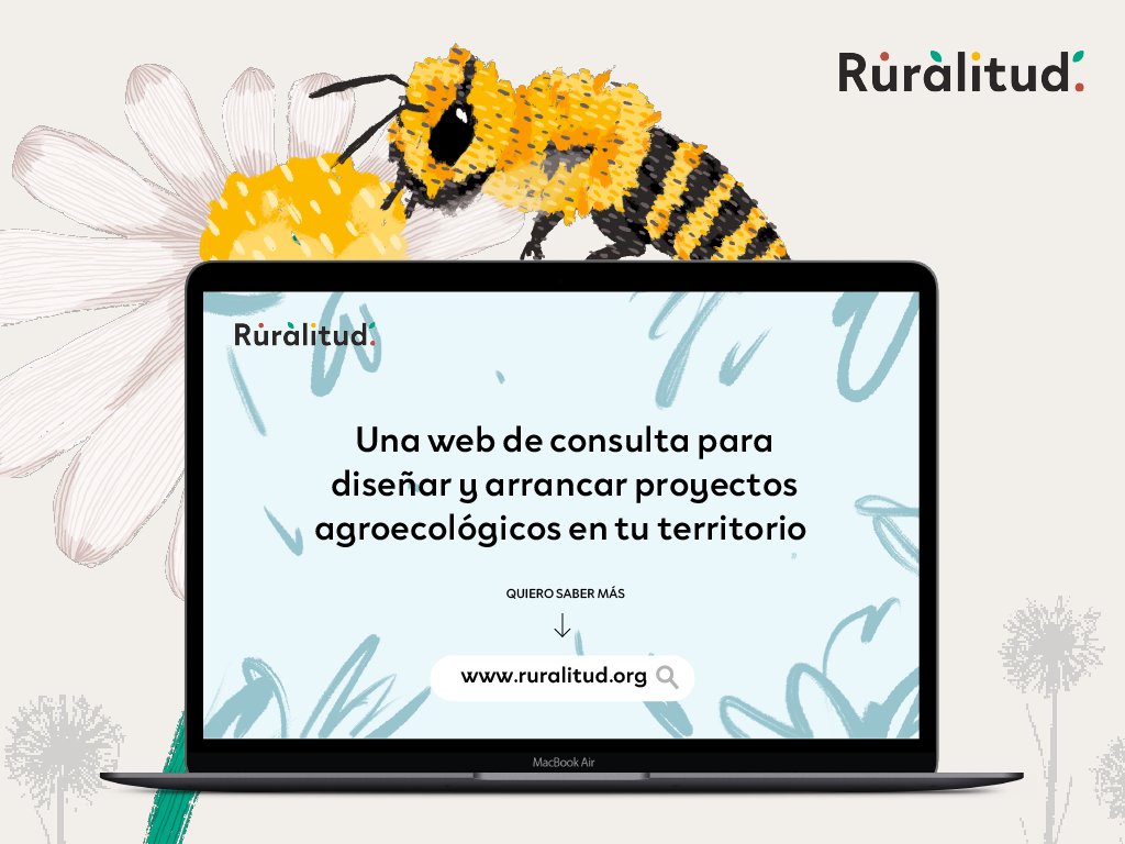 🍃¡Presentamos Ruralitud!

¿Quieres emprender un proyecto agrícola sostenible y no sabes por dónde empezar?

Hacemos pública esta nueva plataforma digital que ayudará a aquellas personas que estén buscando cómo iniciarse en el mundo agrario.

🧵 #Ruralitud