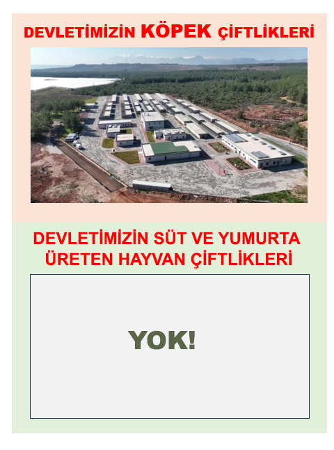 Devlet niye inek çiftlikleri kurmuyor?

Köpek tarikatçilerini memnun etmek için hiçbir işe yaramayan köpeklere çiftlik yapılıyor!