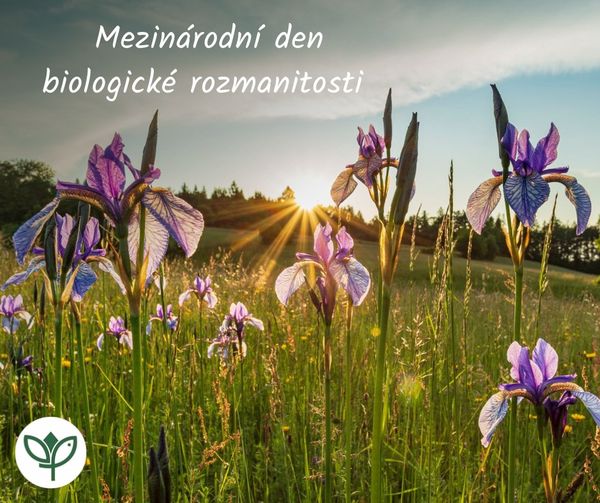 Přehlídka významných dnů dnes pokračuje Mezinárodním dnem biologické rozmanitosti. V naší nálezové databázi máme z ČR bezmála 35 milionů údajů o výskytu rostlin, živočichů a hub. Nejvíc druhů bylo zaznamenáno v národním parku Podyjí a CHKO Český kras. portal23.nature.cz/nd/