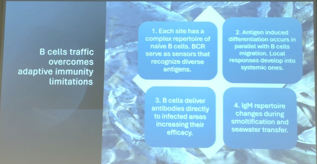This was followed by a presentation from Aleksei Krasnov, also from <a href="/nofima/">Nofima</a> on B cells immunity in key stages of Salmon life, involved in resistance to SAVirus, in smoltification and in melanin spots !