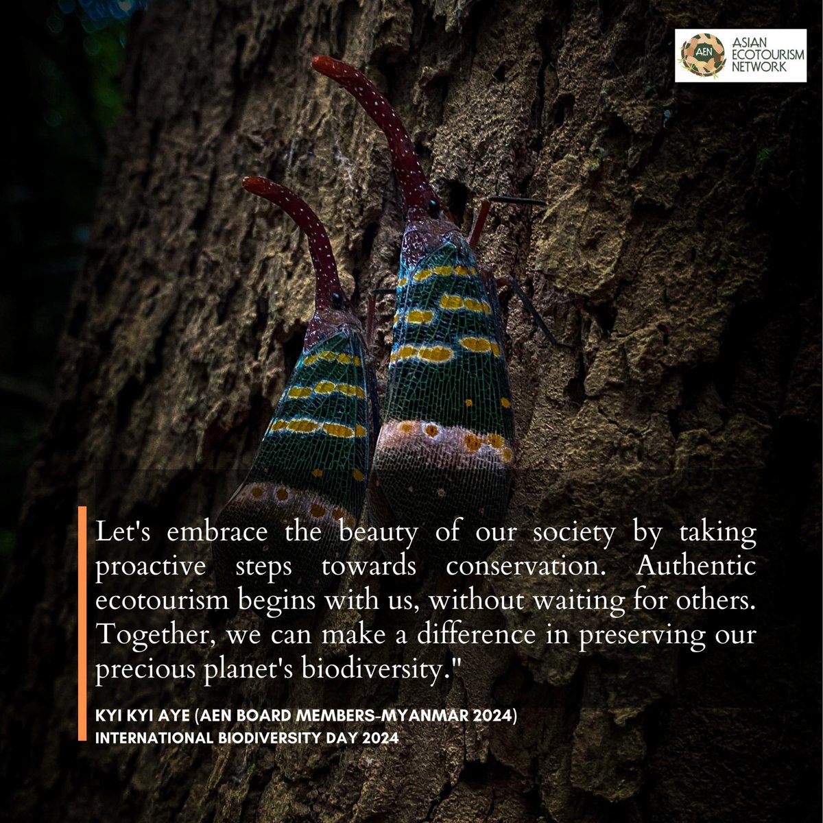 Celebrate International Biodiversity Day 2024 : Through ecotourism, let's create a sustainable world where conservation drives social, economic, and environmental impact. Together, we can protect our planet's rich diversity for future generations."