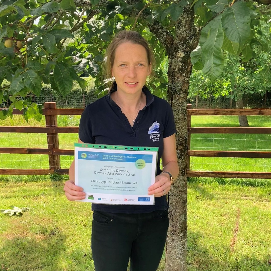 Nominations are open for awards that acknowledge the work vets and farmers in Wales do to help tackle antibiotic resistance - the closing date is this Friday 24th May!! 🏆 To nominate a vet or farmer for the 2024 awards, please visit: bit.ly/ArwainDGCNomin…