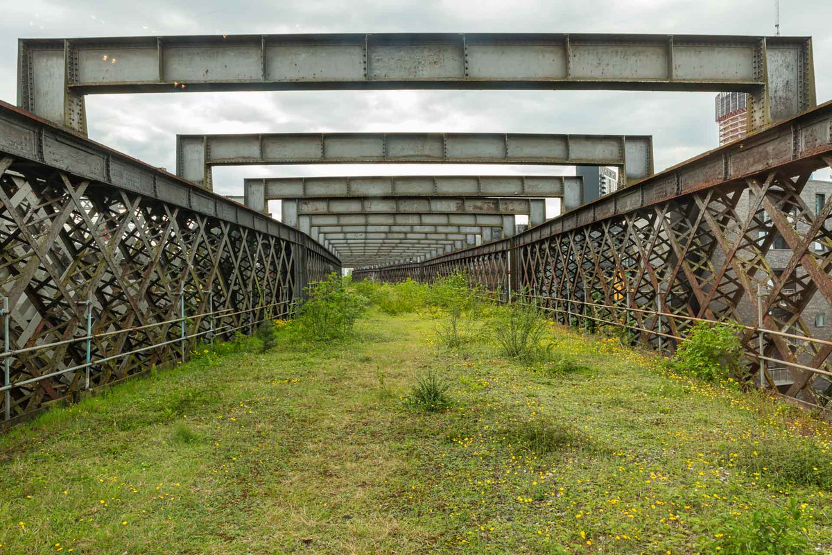 𝙼𝚊𝚛𝚔 𝙲𝚊𝚛𝚕𝚒𝚗𝚎 tweet media