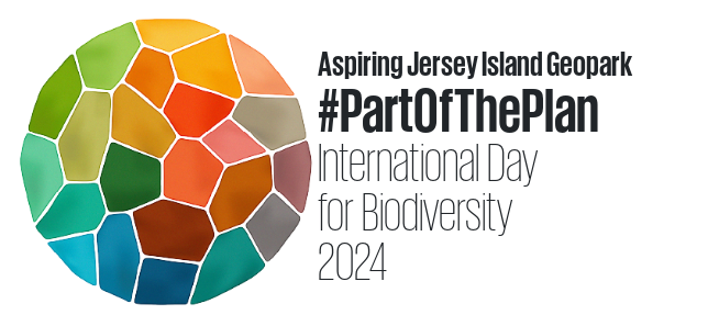 This #BiodiversityDay we celebrate our #Island's AMAZING wildlife and local conservation. 🐝🦇🦎🌳Follow the below for #JerseyCI inspiration: 💚 @JerseyBioCentre 💚 @NatTrustJersey 💚 @JerseyBatGroup 💚 @Jerseytrees 💚 @DurrellWildlife 💚 @jerseywildlife 💚 @NurtureEcology