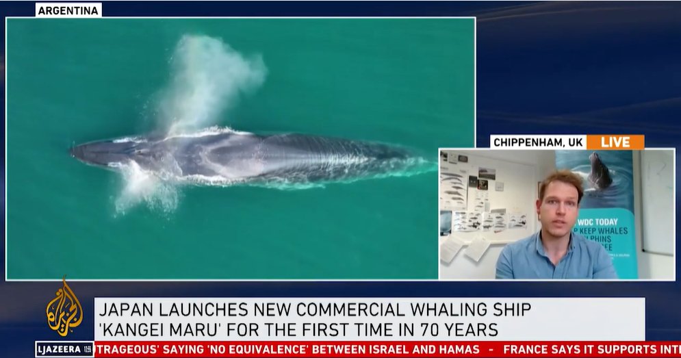 Yesterday on behalf of @whales_org, I discussed Japan's new whaling 'mothership,' the Kangei Maru on @AJEnglish. Funded by taxpayers, this ship symbolises Japan's commitment to whaling, aiming to lower meat prices and sustain a dying industry. #wdc #whales tinyurl.com/yeywjs3v