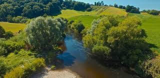 FriendsUpperWye's tweet photo. The Wye Catchment Partnership is seeking a volunteer Chair and Vice-Chair, critical roles facilitating the single place where all voices come together to seek a path towards the recovery of our river. To find out more and apply: 
https://t.co/UMJnqJ3RHa https://t.co/quAsulO2kY