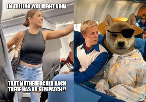 DogWifEyepatch tweet media