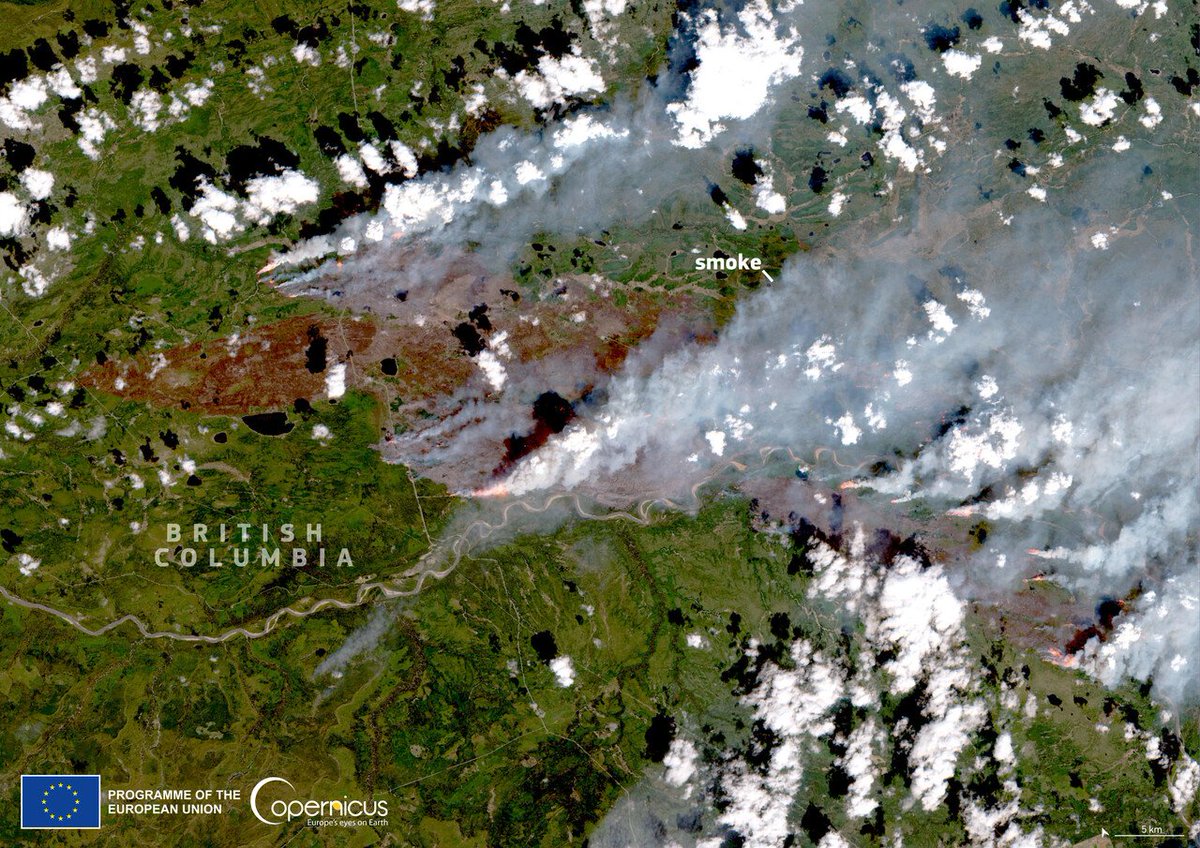 #Copernicus for #wildfires monitoring Severe fires have affected British Columbia🇨🇦 in recent days #AirQuality has been impacted by large amounts of smoke, as reported by our #CopernicusAtmosphere Monitoring Service More at atmosphere.copernicus.eu/canada-wildfir… #Sentinel2 image from 13 May