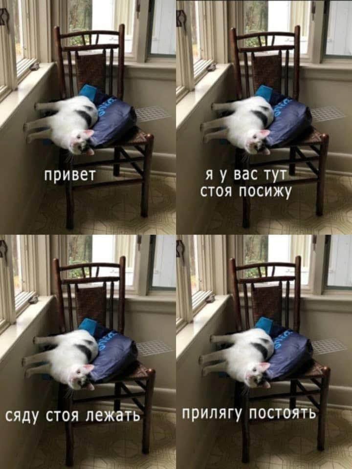 Дантес (@dantesdmitriy) on Twitter photo 