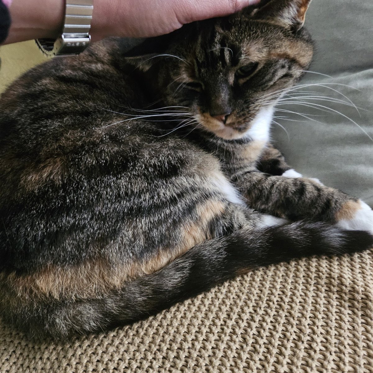 Sunbul Akhtar tweet media