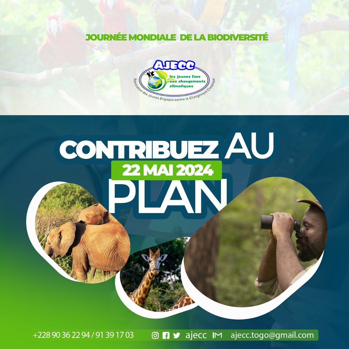 Chque année, le 22 mai ns célébrons la journée mondiale de la biodiversité. 1 moment fort pour réfléchir sr l’importance de la diversité biologique.
Le thème de cette année ns exhorte au respect, à la protection et à la restauration de notre richesse biologique.
#BiodiversityDay