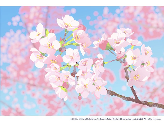 「桜 木」のTwitter画像/イラスト(新着)