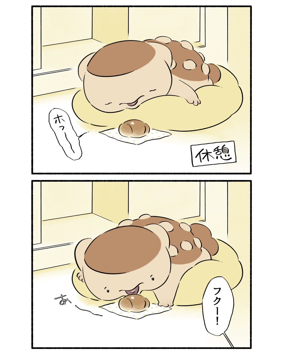 パン屋のフクちゃん⑤
#漫画 #恐竜はじめました 