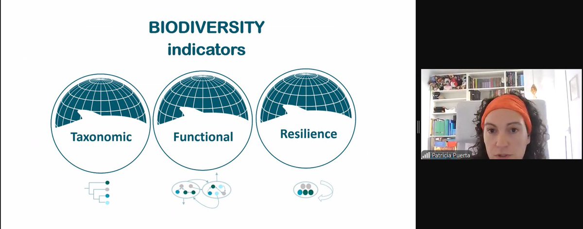 🟣#PatriciaPuerta ha presentado los indicadores de #Biodiversidad y los modelos multiespecie 🐙🐟🦐🦈🐡que están desarrolando en el #Mediterráneo del proyecto <a href="/b_useful_EU/">B-USEFUL</a>