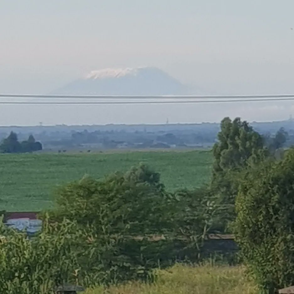 GiladMillo's tweet photo. Beautiful drive to the shamba this morning 🙌🏽 Magical 🇰🇪 #OleRaha 🧄 #GarlicFarming https://t.co/8NvLrdWCEv