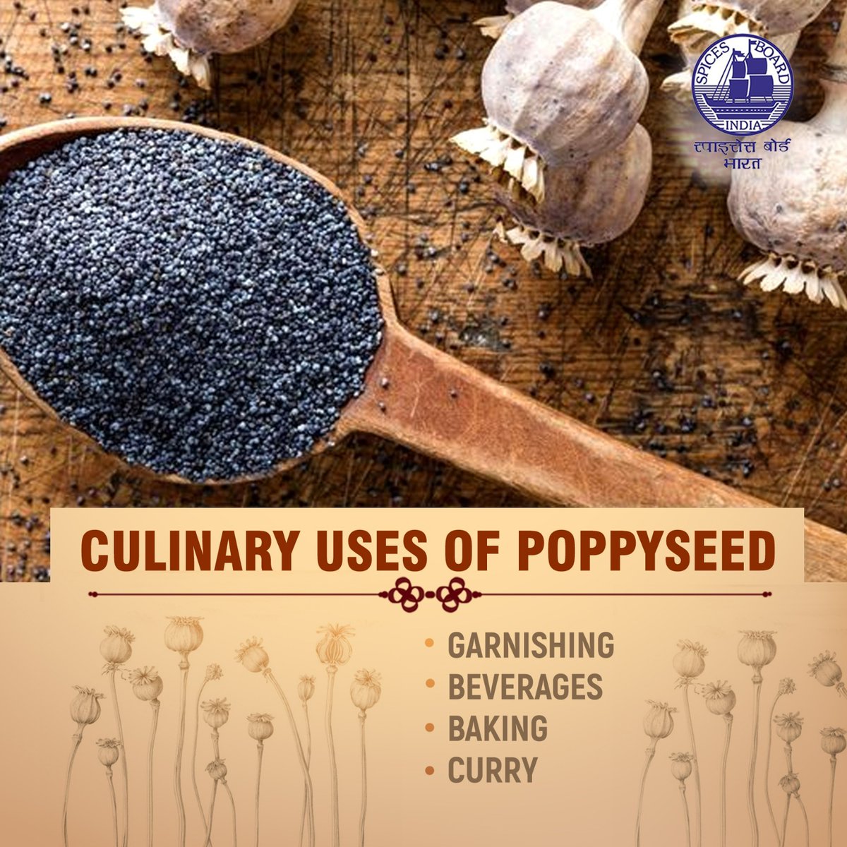 Secret ingredient for flavor-packed dishes @doc_goi #spicesboard #poppyseed #incrediblespicesofindia