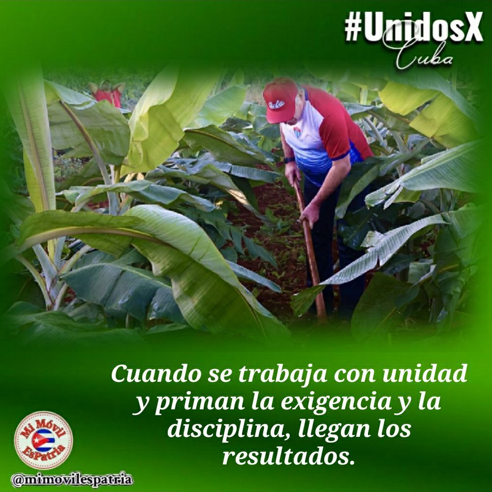 (...) Enfrentaremos el recrudecimiento del bloqueo y lo venceremos con nuestros propios esfuerzos, con la resistencia creativa, que significa aprovechar todo el talento que tenemos, la inteligencia y la voluntad del pueblo para seguir creciendo (...) #UnidosXCuba #MiMóvilEsPatria