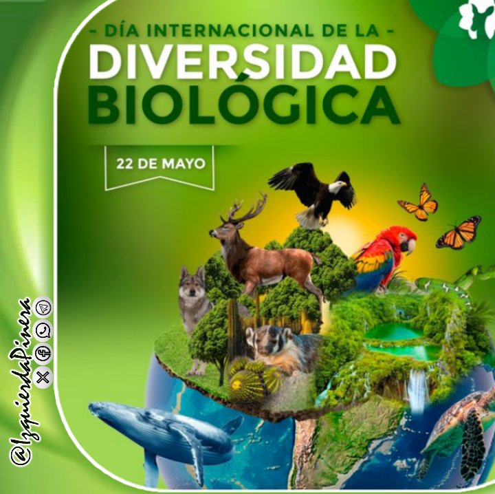 El #DíaInternacionalDeLaDiversidadBiológica se celebra cada 22 de mayo, y fue decretado así por la (ONU), con el objetivo de crear conciencia acerca de la importancia que tiene la biodiversidad para los seres humanos y de allí la necesidad de cuidarda. Te sumas? #IzquierdaPinera