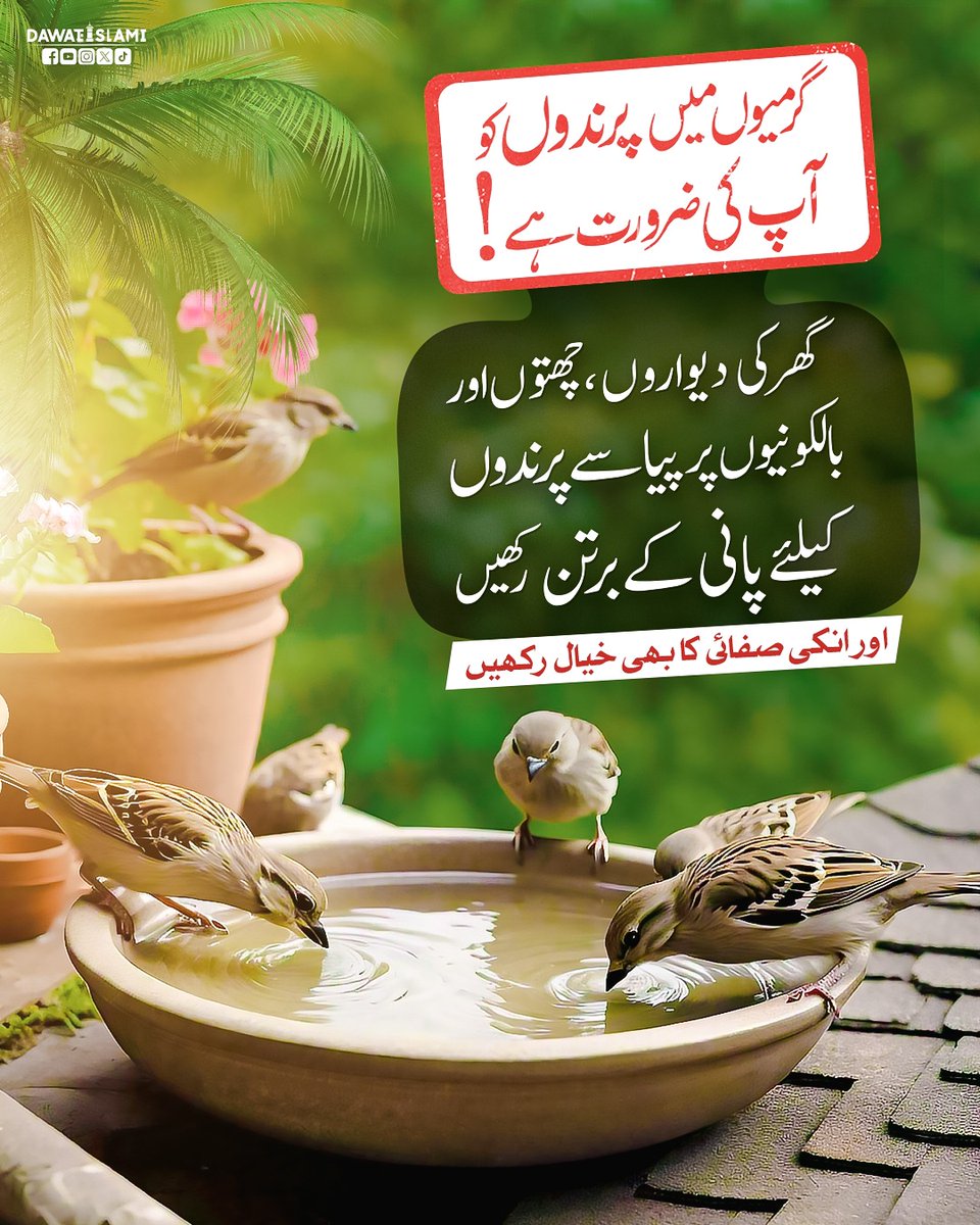 IamUsmanAttari's tweet photo. بے زبان پرندے گرمیوں میں آپ کی چھوٹی سی نیکی کے منتظر ہیں۔
#Dawateislami
#Berds https://t.co/Gn5GDYdSRy