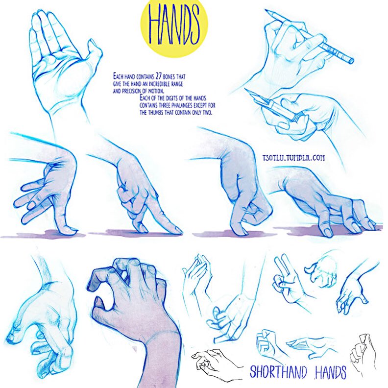 Our feature reference/artist set for today is this great page of hand studies by @turcinsoylu! Loads of great approaches to tricky positions here! #CHARACTERDESIGN #conceptart #gamedev #animationdev #gameart #indiegame  #animation #characteranimation