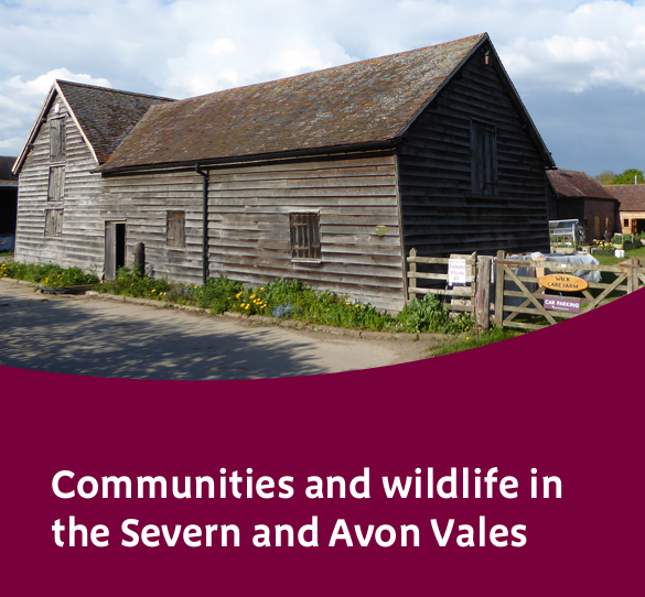 CCRI_UK's tweet photo. @MarshmanIJ @FarmBuildings @HistoricEngland @EnglishHeritage @Heritage_NGOs @SAVEBrit @charlottebsmith @NaturalEngland 3/3
Within the main report are 10 regional case studies 🗺️
These are now available individually on the @ALGAO_UK website
https://t.co/xZbPuYWmXa
#HistoricBuildings #Farming #TraditionalFarmBuildings https://t.co/WE9vyVa6ZO