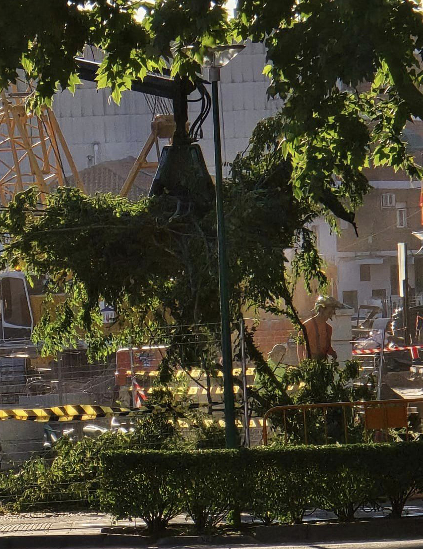 #NavalmoraldelaMata debe de ser la única población de España donde quitan las zonas verdes por camiones para rellenarlas de hormigón...
Y se les llena la boca con palabras como Progreso, Evolución, Modernidad, Empoderamiento, Civilización, Asertividad y tantas y tantas payasadas.