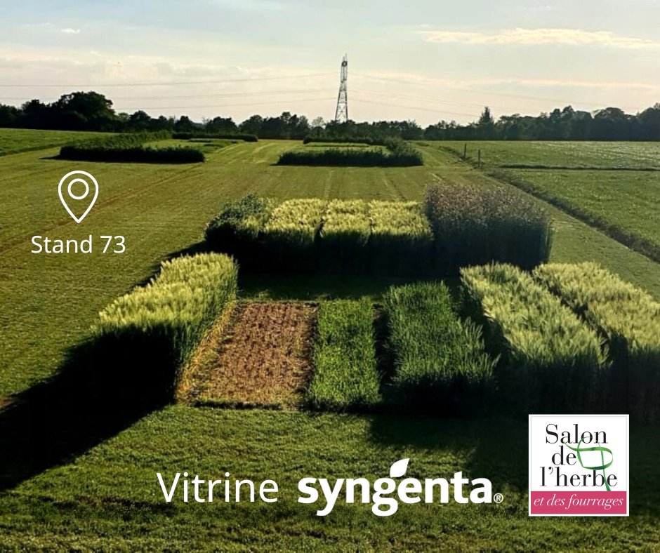 [#Salondel'herbeetdesfourrages2024 📢]

⏳ J-7 avant le Salon de l'herbe et des fourrages 2024 ! 
Au plaisir de votre visite pour apprécier la flexibilité des orges hybrides Hyvido® 🌾

📍 Rendez-nous à Nouvoitou sur le stand 73, les 29 et 30 mai !

👉 bit.ly/3ULqeYD