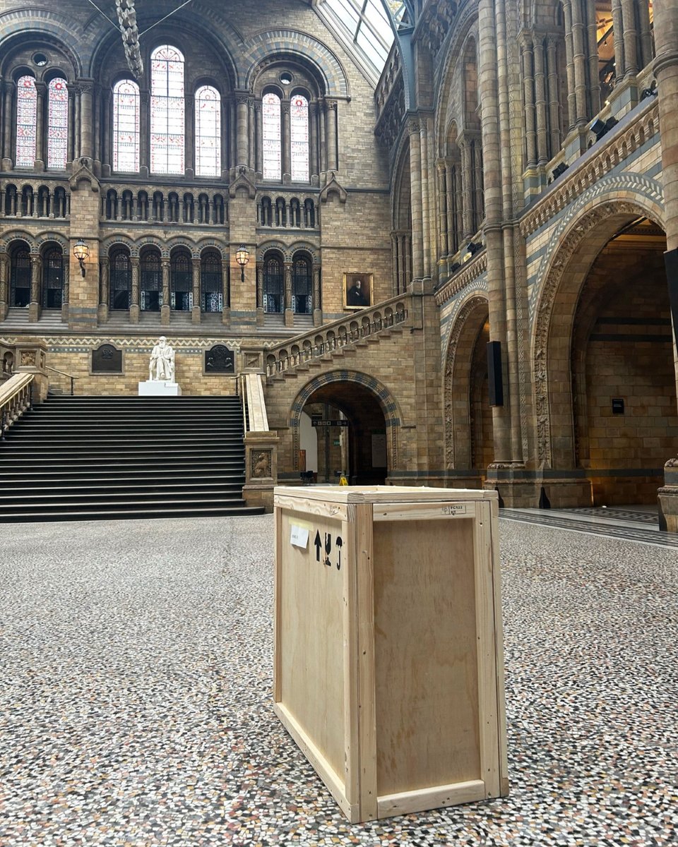 What’s in the box? 👀 

Exciting things are arriving at the Museum... let us know your guess, and don’t forget to look out for any clues 🔍 

👀 #NaturalHistoryMuseum #BrilliantAndBizarre #BustingToTellYou