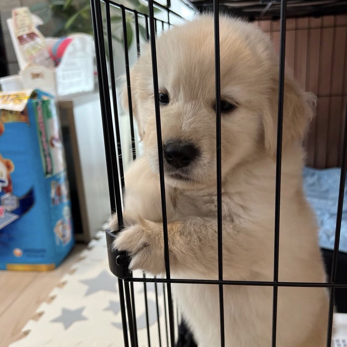 ป่อยเค้าเหอะ สันยาว่าจะไม่เดินตามตูดสาวๆแล้ว