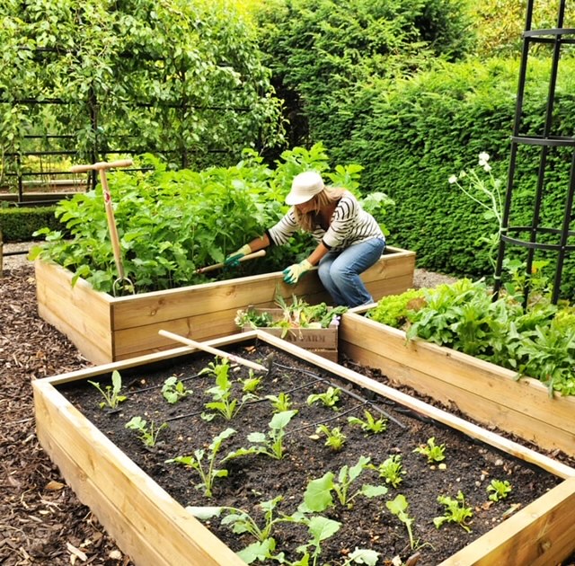 BrickMerchants's tweet photo. Build your garden, don't watch! DIY oak beam raised beds this Bank Holiday https://t.co/eeYRlSXnwc