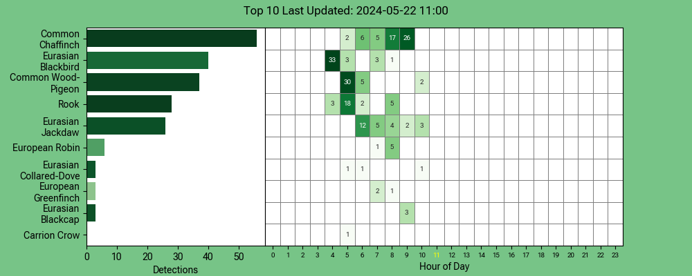 #BirdNETpi @Raspberry_Pi - #Blackbird out sings the #Rook to lead the #dawnchorus this morning
app.birdweather.com 
@ManxBirdLife @manxnature @BTO_GBW @Natures_Voice @BiosphereIOM #wildlife #isleofman #ManxNature #TeamWilder