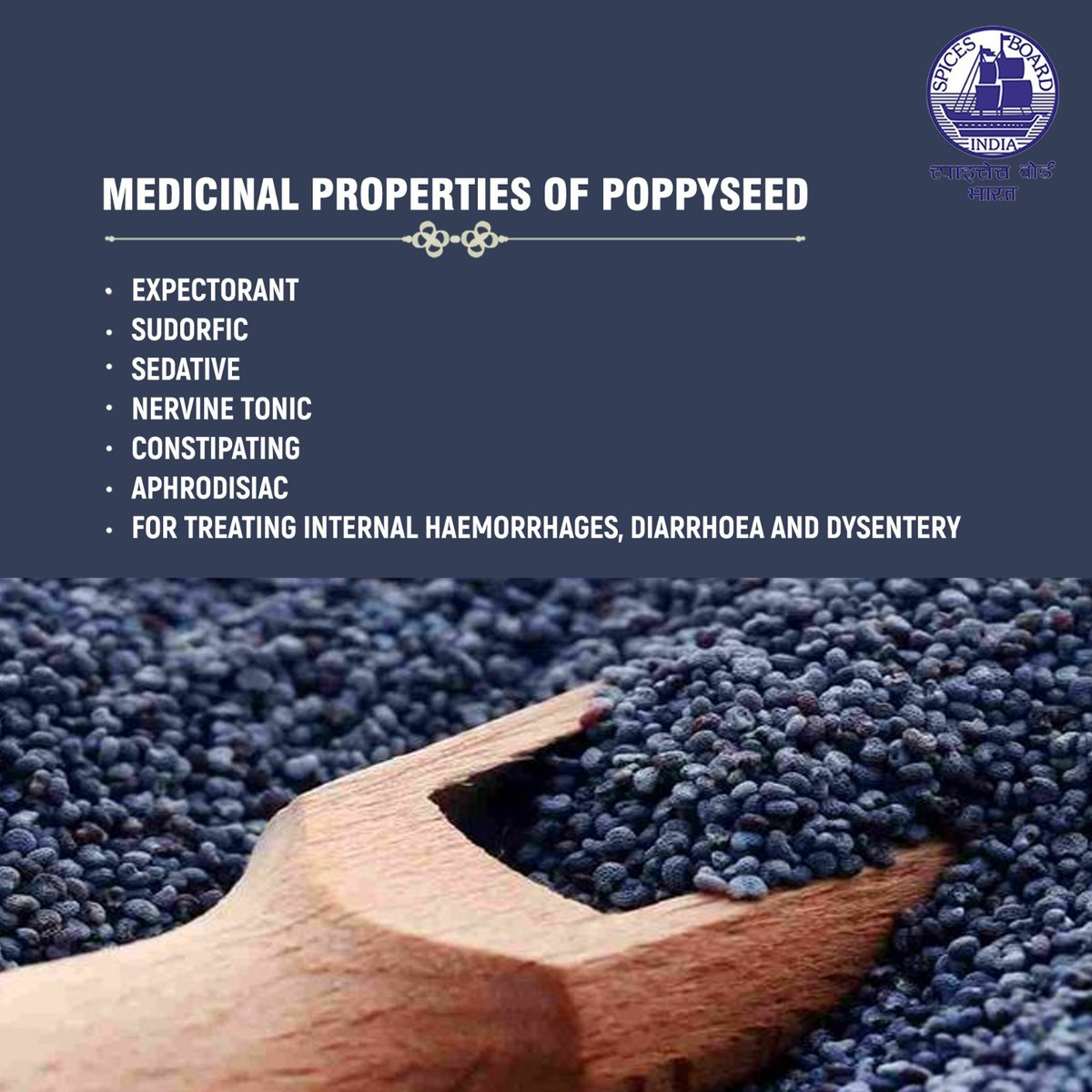 Explore the wonders of this tiny powerhouse @doc_goi #spicesboard #poppyseed #incrediblespicesofindia