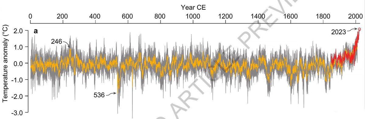 René Schäfer tweet media