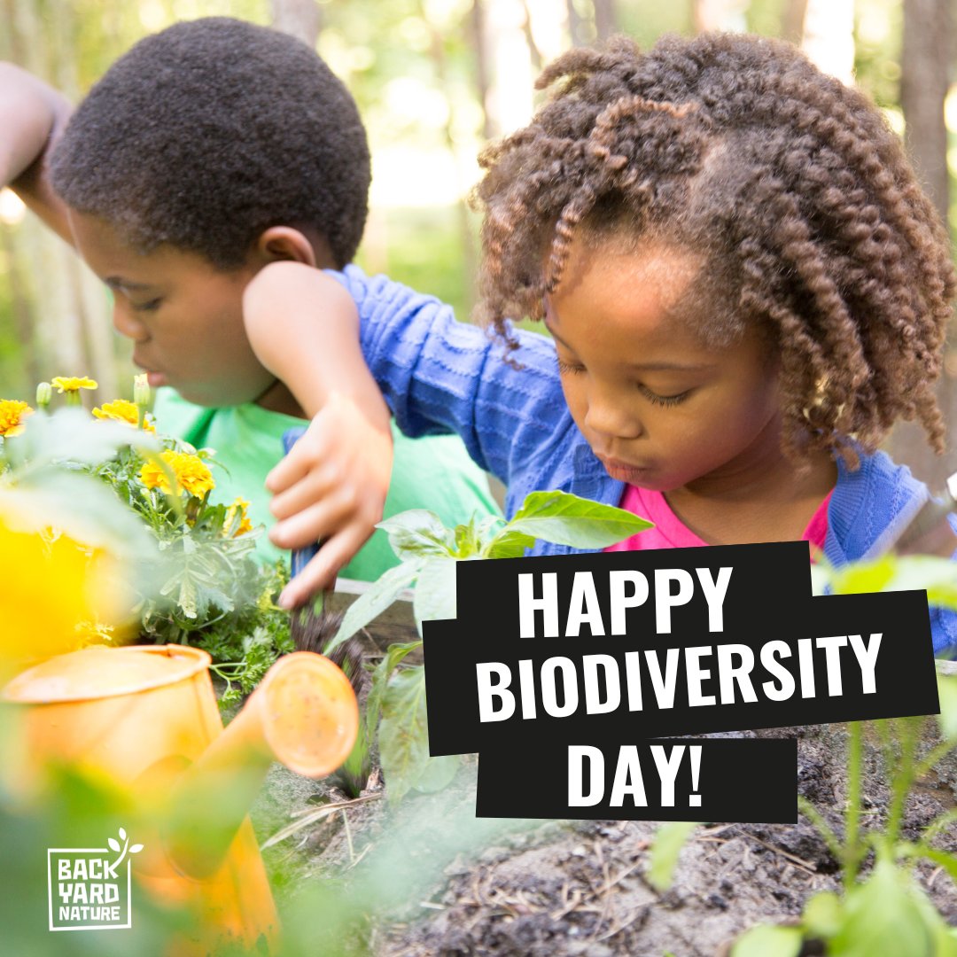 It's Biodiversity Day! 🌳🦋🐝 At Backyard Nature we think EVERYONE can take action for the planet 

We’ve been celebrating a diverse range of voices through our JEDI nature champion videos.  We're hosting a screening tonight of some of them!

How do you protect nature your way?
