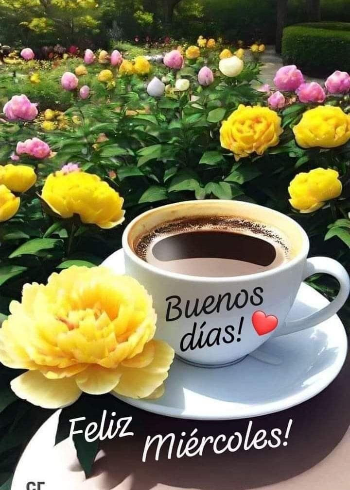 Buenos días #Cuba y el mundo 🌏 Feliz miércoles para tod@s los buenos amig@s 🤗 ❤️ 😘Con mucho cariño les ofrezco un cafecito ☕ para animar la jornada. 😊✊