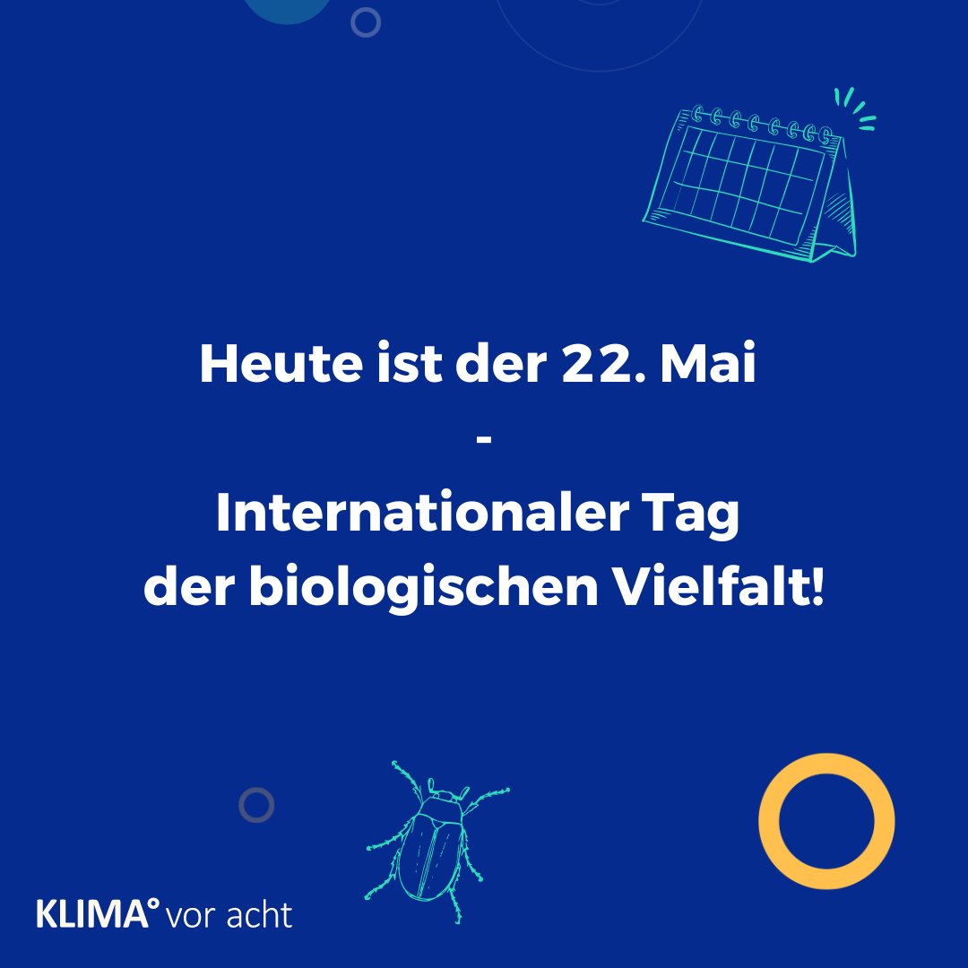 KLIMA° vor acht e.V. tweet media