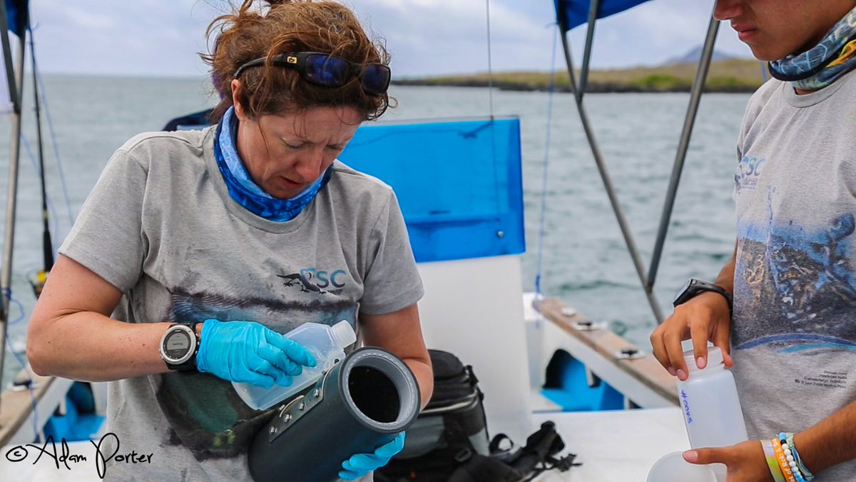 Dr Ceri Lewis @CezzaLew says scientists are finding microplastics - including fibres - everywhere in the ocean, including inside animals and the deep seabed She describes her work in the Galápagos Islands, where plastic waste arrives on ocean currents #FutureFibresNetworkPlus