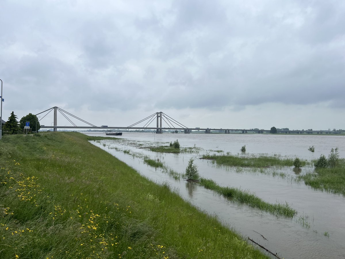 Bijzonder, mei 2024 en #hoogwater tegen de dijk langs rivier de #Waal 🇳🇱