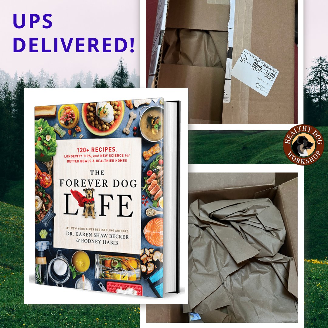 UPS left this amazing gift on my doorstep! Can't wait to share my favorite parts over the next week -- stay tuned!